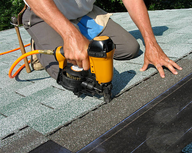 Best Roof Gutter Cleaning  in Great Falls, VA